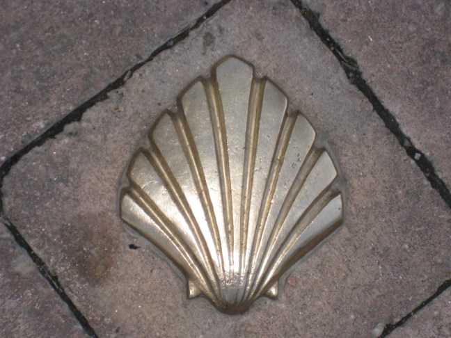 Shell Marker