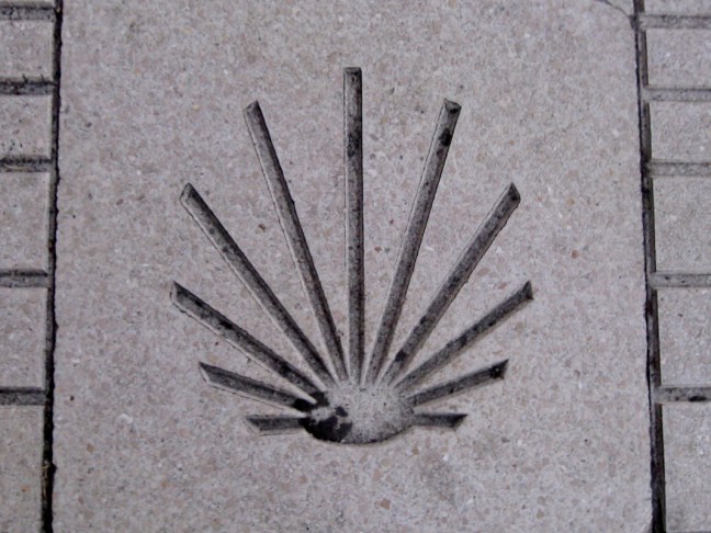 Shell Marker